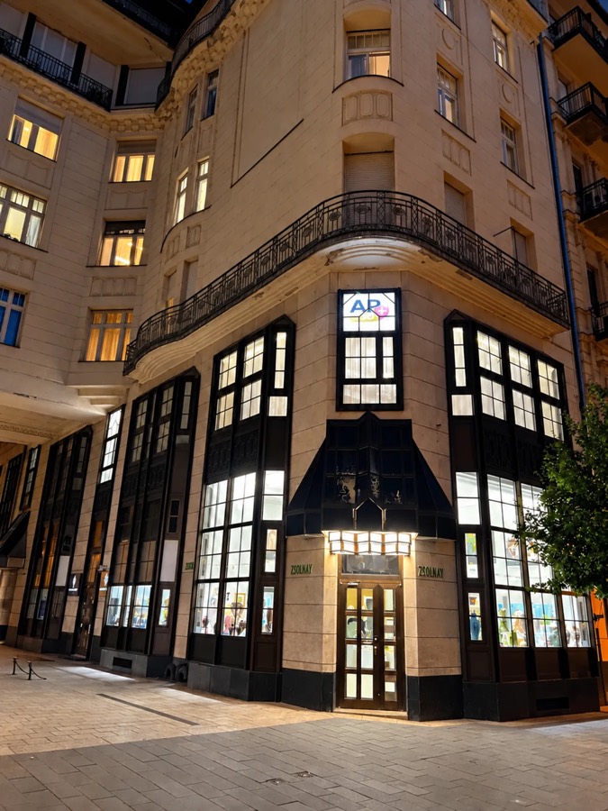 Aesthetics Palace Medical Center (AP Med Center) — 3