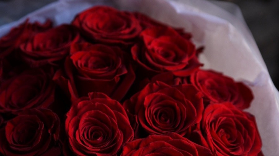 Ivanysh Flowers